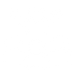 leader