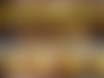 The cozy-looking interior of the bar at The Den at Beetlecat