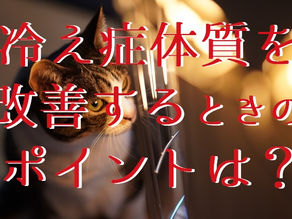 冷え症体質を改善するときのポイントは?(五反田 鍼灸院)