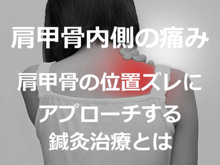 肩甲骨の内側の痛み~肩甲骨の位置ズレにアプローチする鍼灸治療とは(五反田 鍼灸院)