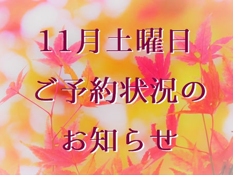 11月土曜日のご予約状況(五反田 鍼灸院)