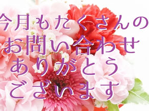 今月もたくさんのお問い合わせありがとうございます(五反田 鍼灸院)