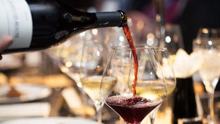 Die besten Lemberger Deutschlands. Berliner Weinwettbewerb Lagencup zeichnet die besten Lemberger Deutschlands aus. Deutschlands beste Lemberger Lagenweine.