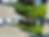 lawn mowed and edged by Bayleaf Lawn Care & hauling in Fremont, CA