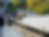 Yard Clean up and junk Removal in Hayward CA by Bayleaf Lawn Care & Hauling