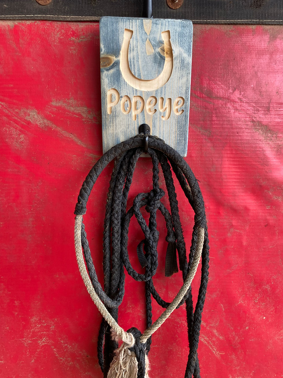 Thumbnail: Personalized Horse Halter & Tack Holder