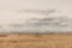 HotRodCommunications-22.jpg