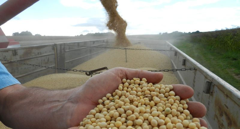 Como melhorar os resultados financeiros na soja