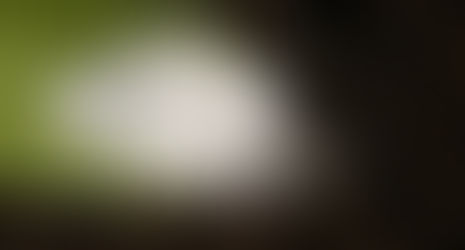 Escalada do preço dos fertilizantes exige maior atenção do produtor à eficiência nutricional e impulsiona biossoluções