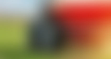 Ministério da Agricultura volta a discutir necessidade de produção de fertilizantes no país