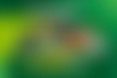 Rede Cooper inicia distribuição de mais de R$ 22 milhões em Retorno das Sobras