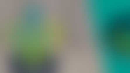 Projeto Crearts do Sicoob Credija conquista o Selo Cidadania e Sustentabilidade 2025 na categoria Ambiental