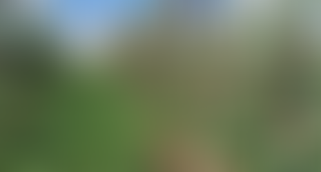 Rasip projeta colher 55 mil toneladas de maçãs na safra 2026