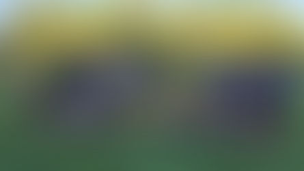 Giants e São Ludgero conquistam títulos no 1° Festival de Escolinhas Feminino da Coopercocal 