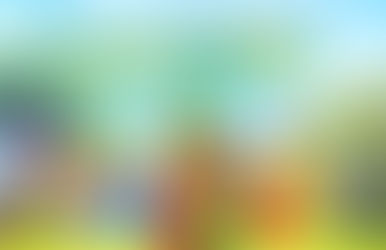 Projeto “A Turminha da Reciclagem” celebra 25 anos com lançamento de filme em Chapecó