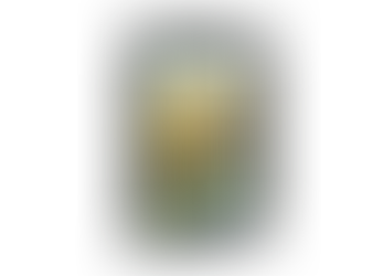 Dias de Campo impulsionam o cooperativismo