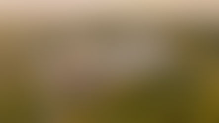 18 de dezembro, em Chapecó (SC) Aurora Coop estreia novo filme institucional