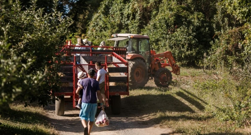 Renegociação de dívidas do agronegócio divide governo e setor produtivo no Congresso