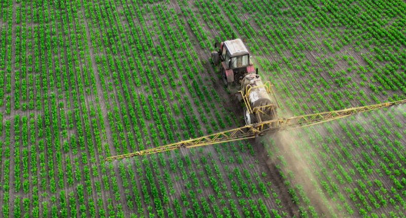 Cooperativas consolidam o Brasil como potência global de alimentos