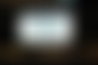 14º Seminário Internacional de Industrialização da Carne durante a Mercoagro