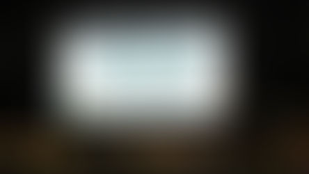 14º Seminário Internacional de Industrialização da Carne durante a Mercoagro