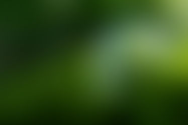 Relatório de Sustentabilidade destaca R$ 98,2 bilhões em crédito para economia verde no Sicredi