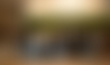 Cooperja homenageia colaboradores no Programa Jubilados 2025