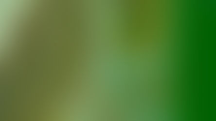 SESCOOP/SC promove curso presencial de Gestão de Projetos e FNDCT