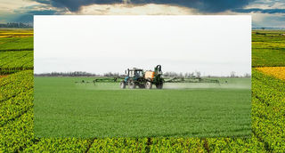 Cooperativas estão preocupadas com a possível redução de tecnologias no próximo plantio