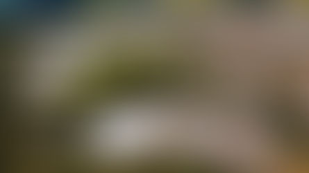 Sicoob participa do 27º Itaipu Rural Show em Pinhalzinho