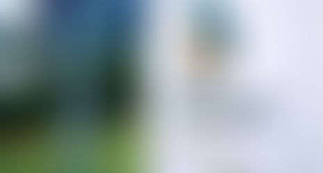 STF abre caminho para acordo sobre moratória da soja