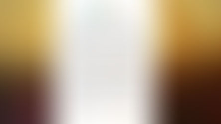 Cooperauriverde investe em moinho de trigo no Paraná