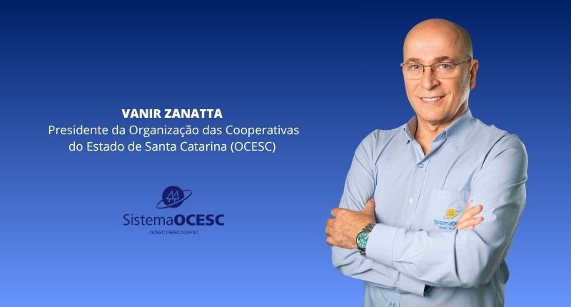 Navegando juntos e remando na mesma direção