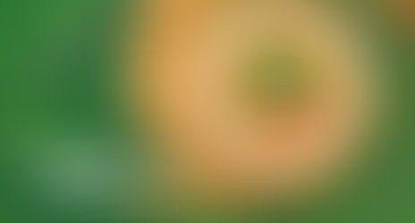 Fecoagro apresenta relatório de sustentabilidade 2025, consolidando resultados e reforçando seu protagonismo no cooperativismo