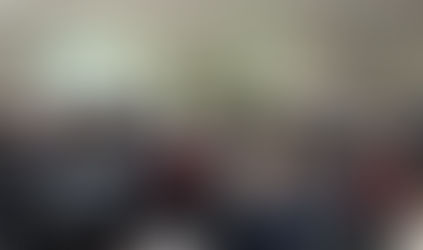 Representantes de cinco países visitam a Cooperja em agenda sobre arroz sustentável