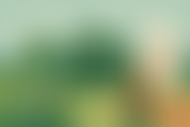 Sustentabilidade Social e Ambiental: O Cooperativismo como Caminho para a Autonomia e Parceria com o Estado