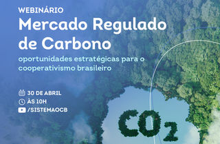 Sistema OCB promove webinário sobre oportunidades no Mercado Regulado de Carbono