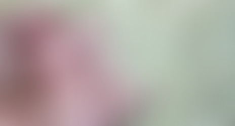 Colheita do arroz começa em SC sob pressão econômica