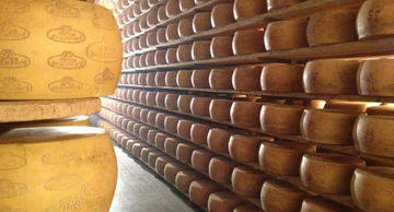 Aurora acerta compra da Gran Mestri, produtora de lácteos do Oeste catarinense