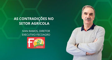 As contradições no setor agrícola