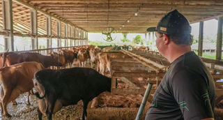 Programa estadual Pronampe Leite fecha o primeiro mês com R$ 84 milhões em operações