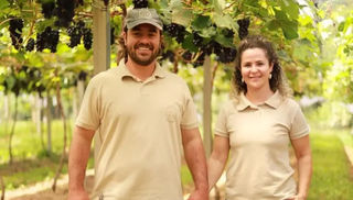 Produtor catarinense aposta na produção sustentável de uvas