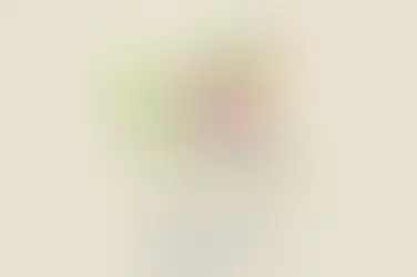 Cooperativas catarinenses se preparam para celebrar o Dia C