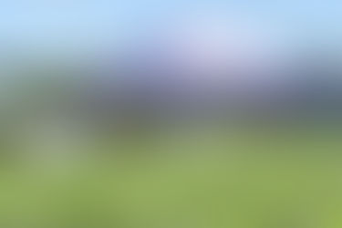 Dias de Campo Coocam 2026 reforçam tecnologia e manejo no campo