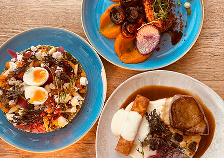 Margot(Plat)2025-10-03 (2).JPG