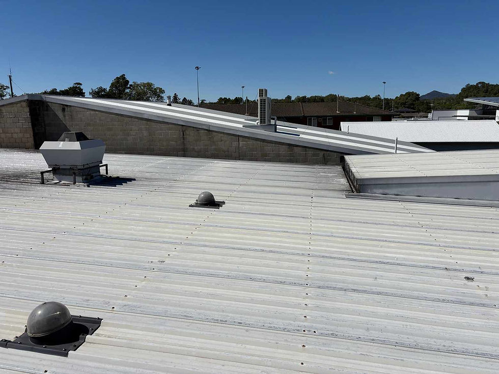 Independent roof inspector on a Colorbond roof in Sydney