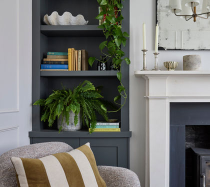 Cozy living room with plants and books on shelves.