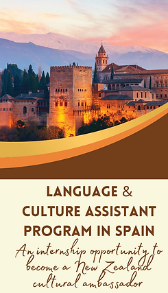Assistant Programme Image.png