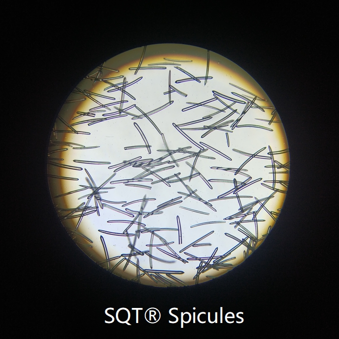 SQT_98___180um__spongilla_spicules_sponge_needle_silica__2.jpg