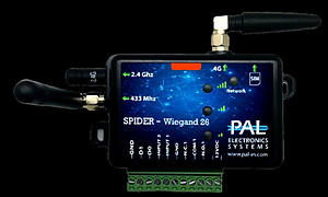 PAL Spider Singel door_edited_edited_edi